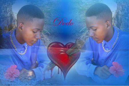 dodo